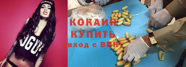 гашик Аркадак