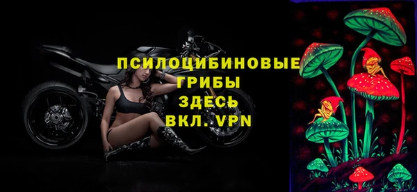 гашик Аркадак