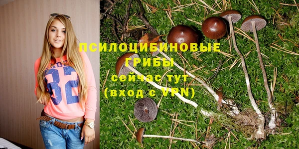 гашик Аркадак